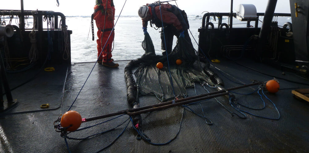 trawl deploy