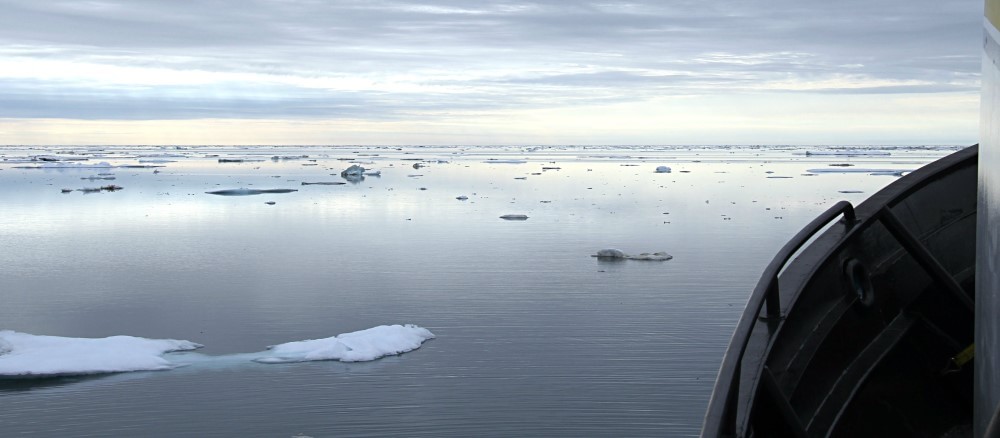 sea ice