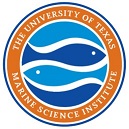 utmsi