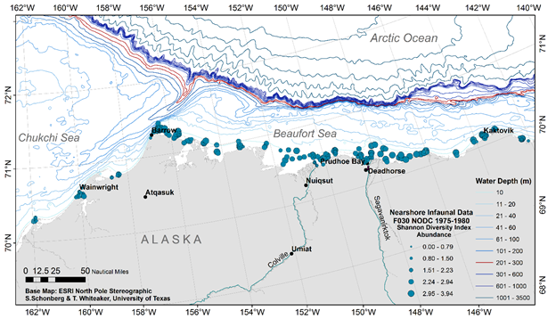 abundance Shannon index map