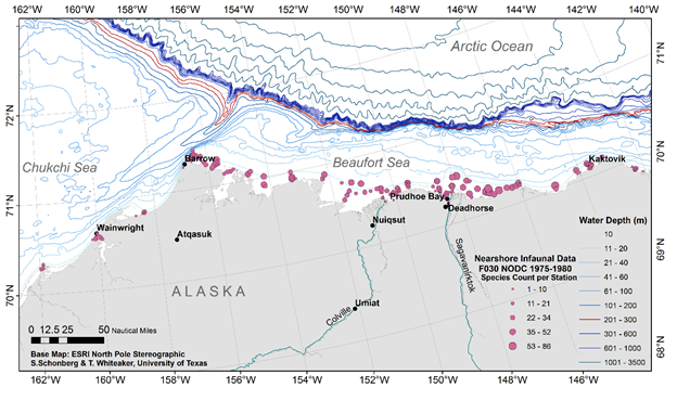 species count by station map